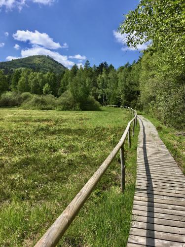 Wanderweg zur Lausche